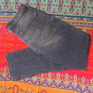 Dish-denim Straight & Narrow